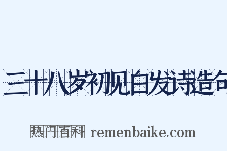 三十八岁初见白发诗造句是什么意思的图片